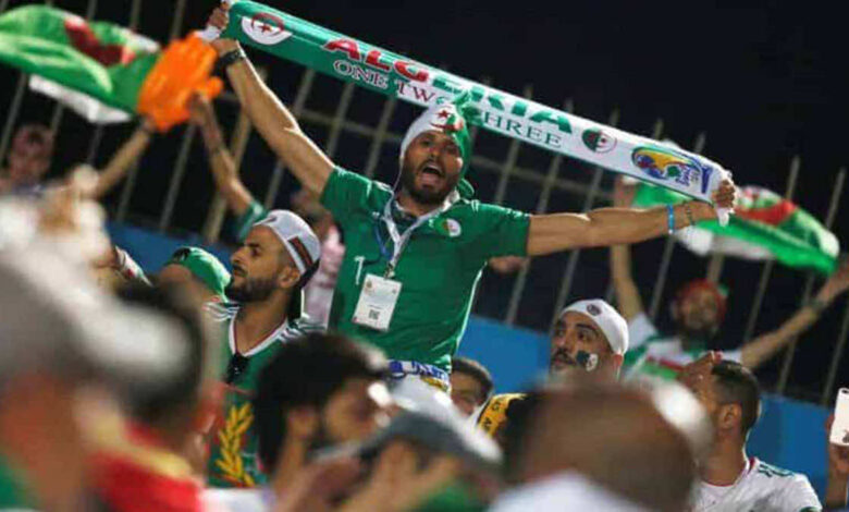 تقرير | الجزائر تنتصر على تونس والمغرب في قطر