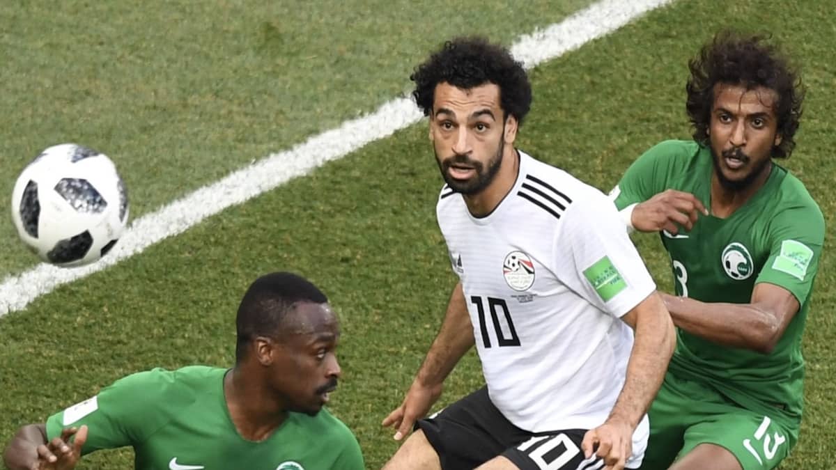 اخبار عن رغبة السعودية ومصر في تنظيم مشترك لكأس العالم 2030