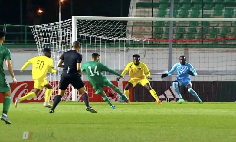 كرة قدم..نتيجة مباراة الجزائر وتوجو الودية 7-4-2022 "دحامني يُهدف بعد 40 ثانية"