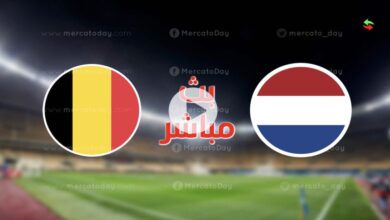 ملخص مباراة هولندا و بلجيكا اليوم 3-6-2022 في دوري الامم الاوروبية