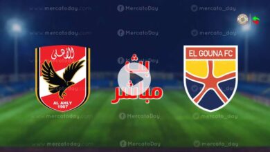 ماذا حدث في مقابلة الاهلي و الجونة اليوم 24-7-2022 الدوري المصري؟