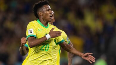 احصائية مخيفة لنجم ريال مدريد.. هل يُهدد استيفاو عرش فينسيوس مع البرازيل؟