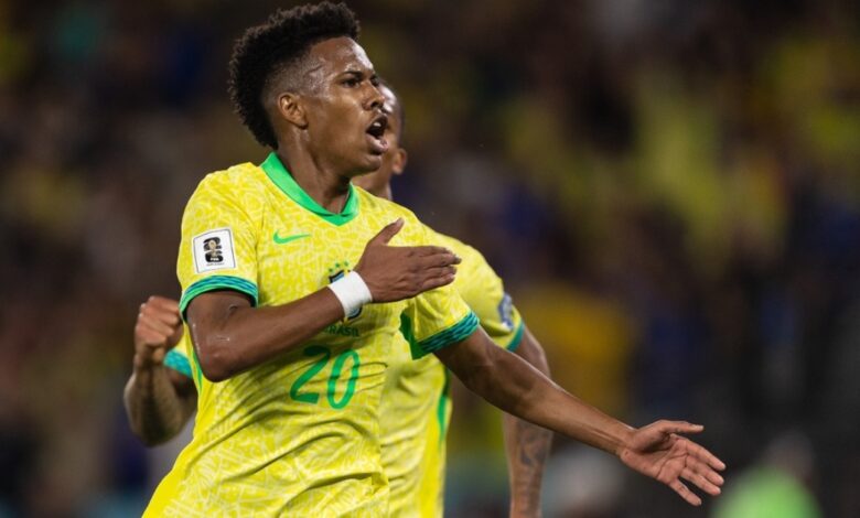 احصائية مخيفة لنجم ريال مدريد.. هل يُهدد استيفاو عرش فينسيوس مع البرازيل؟