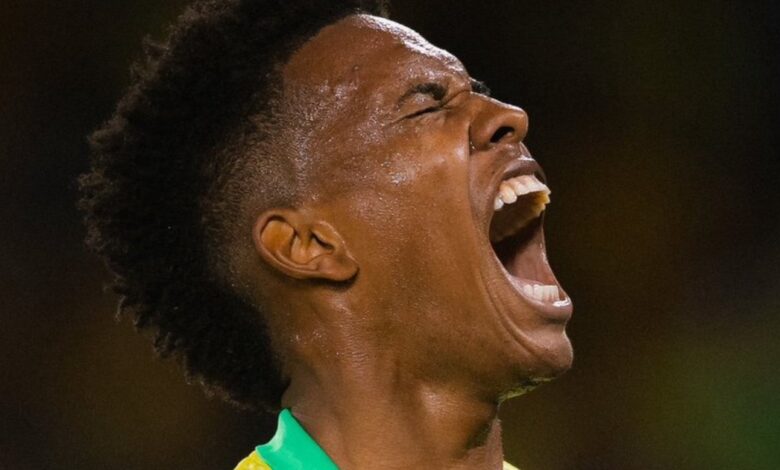 استيفاو يخطف الأضواء مع البرازيل.. جوهرة تشيلسي تكسر صمود السنغال