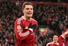 كتيبة الريدز تنتفض وتحصد فوزًا ثمينًا على حساب وولفرهامبتون