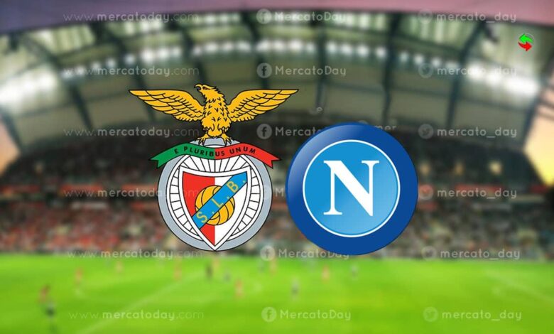 بث مباشر | شاهد مباراة نابولي وبنفيكا في دوري أبطال أوروبا