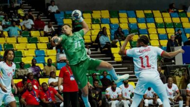 كرة يد.. عرض قوي من المغرب يقوده لتفوق واضح على غينيا في أمم أفريقيا