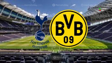 بث مباشر | شاهد مباراة توتنهام وبوروسيا دورتموند في دوري أبطال أوروبا