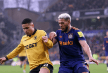 التعادل السلبي يسيطر على مواجهة وولفرهامبتون ونيوكاسل