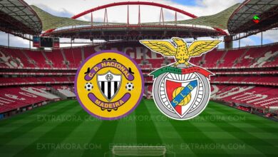 بث مباشر بنفيكا وناسيونال ماديرا في الدوري البرتغالي ميركاتو داي