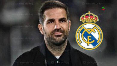 فابريجاس يصدم برشلونة: "لا أمانع تدريب ريال مدريد وأعشق عقلية أنشيلوتي"
